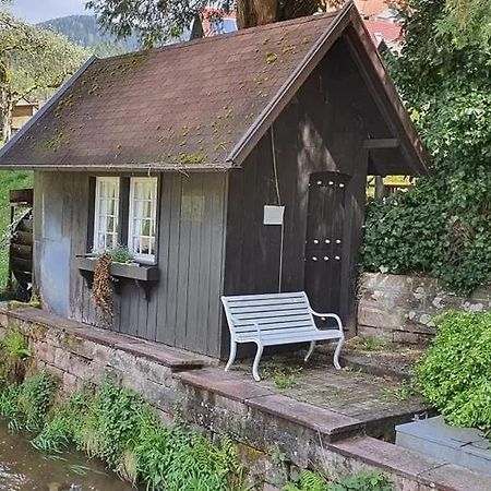 Schwarzwald Idyll Oberharmersbach Zewnętrze zdjęcie